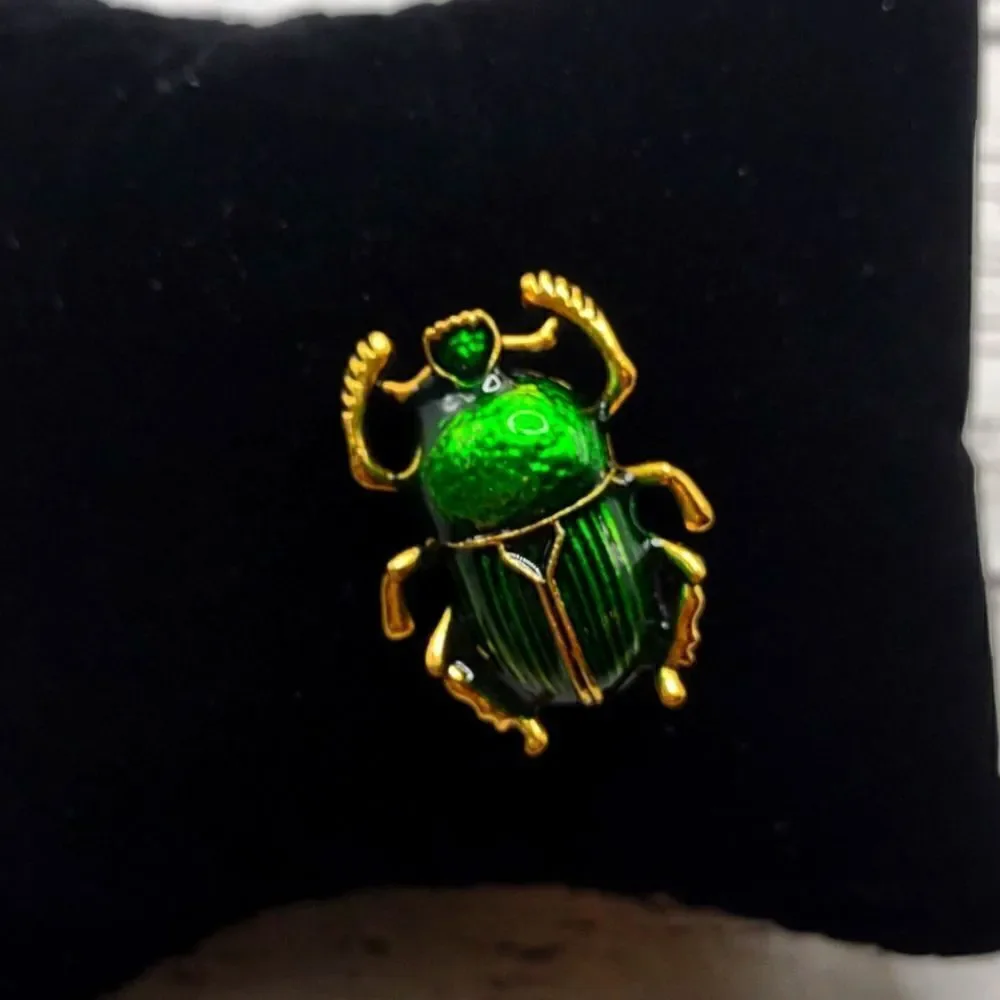 Beetle Brooch Pin. P1